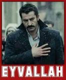 .eyv.